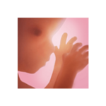 Logo of Pregnancy + android Application 